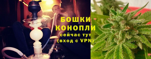 PSILOCYBIN Балахна